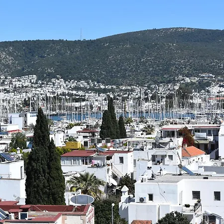 La Bonita Marina Daire